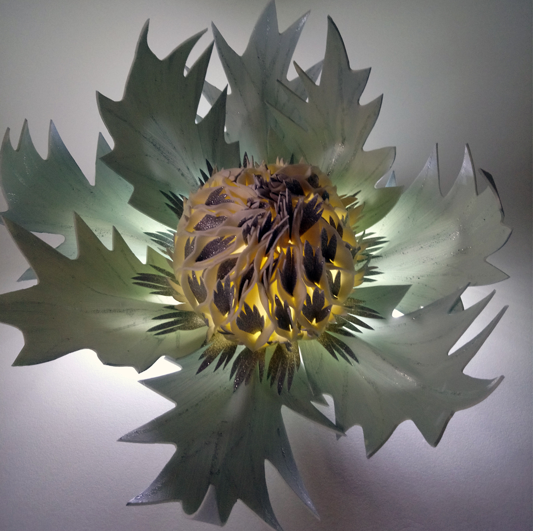 Eryngium
