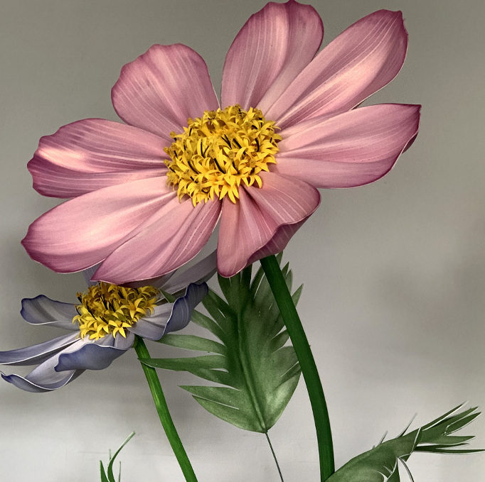 Cosmos