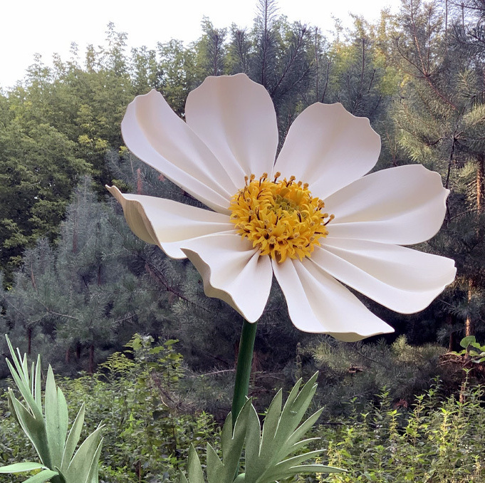 Cosmos