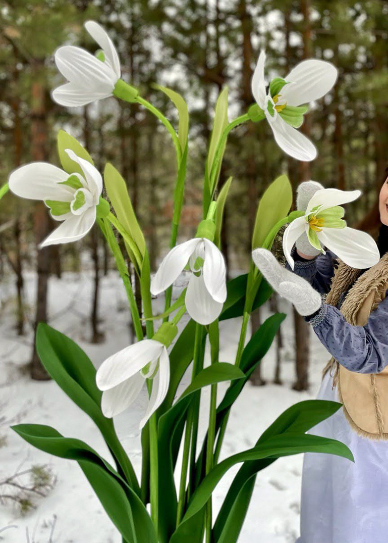 Snowdrops